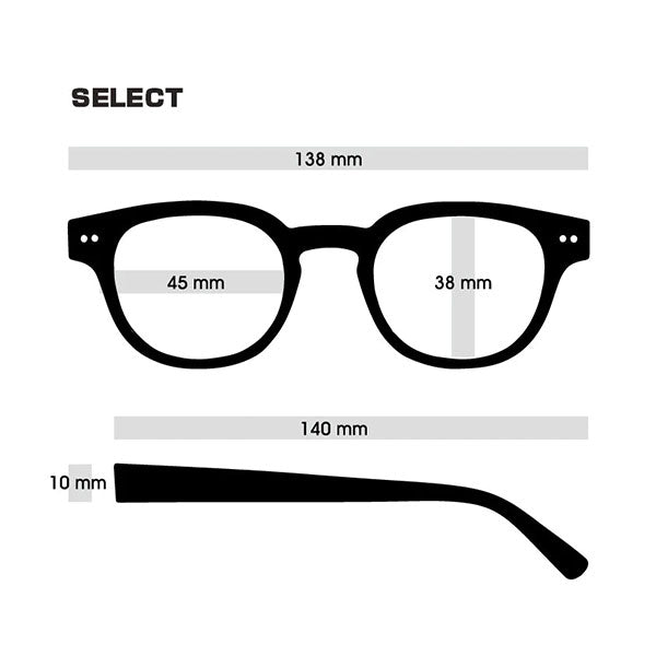 DANG SHADES SELECT Black Soft × Black Polarized 【送料無料】