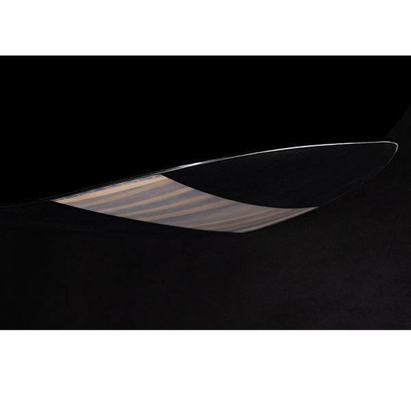 TJ BRAND NAPOLEON FISH SNOWBOARD 2021-2022